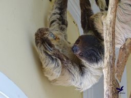 Tiergarten Schönbrunn am 20.10.2025